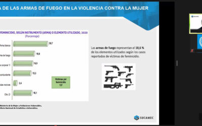 UNLIREC llevó a cabo el seminario web para instituciones de Perú sobre la importancia de control de armas en la prevención de la violencia contra las mujeres